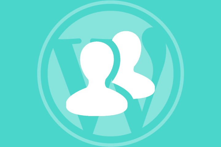 Figures over WordPress logo