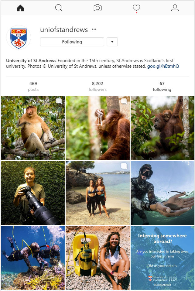 The University's Instagram front page showing the images taken by students on their internships abroad