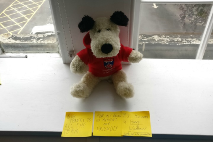 A stuffed dog given to digital communications by Nick the intern