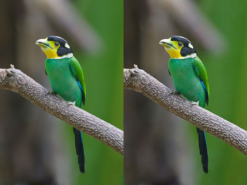 Example of JPEG compression in action